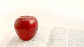 apple+book-3872x2167-268x150.jpg