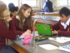 kogarah high school science